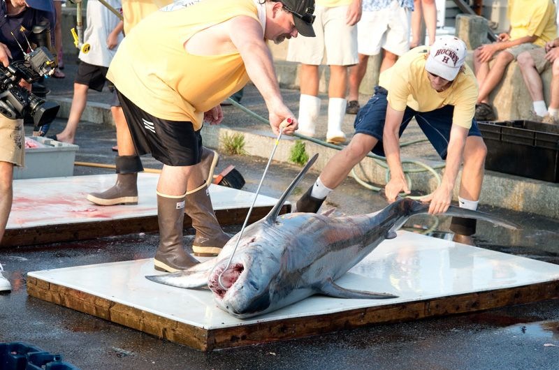 The Vineyard Gazette - Martha's Vineyard News | Magellan Out of Harwich ...