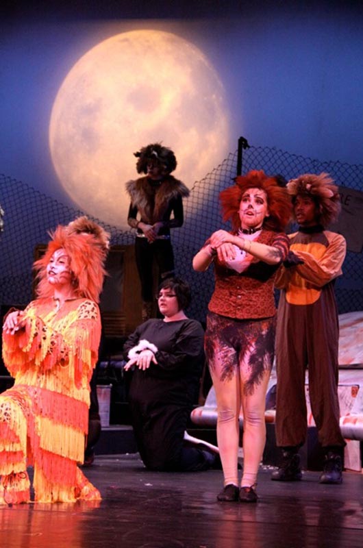 CHS students to perform 'Cats,' the musical