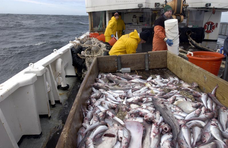 tragedy of the commons overfishing the oceans