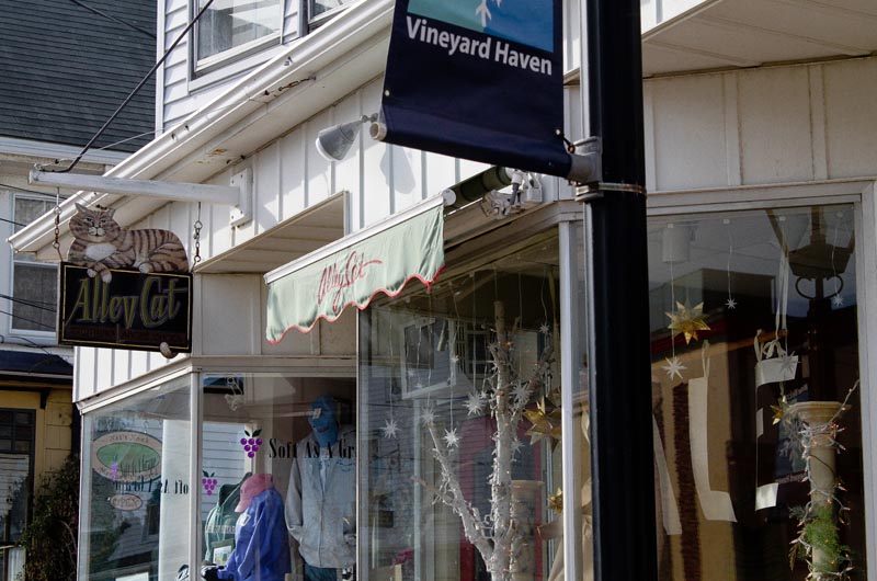 The Vineyard Gazette Martha s Vineyard News Cat s Meow to