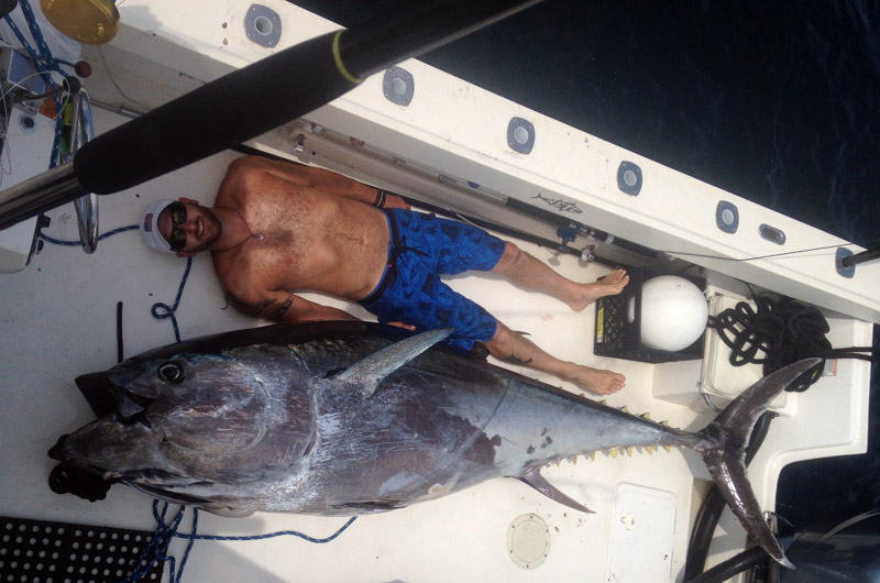 The Vineyard Gazette - Martha's Vineyard News  Big Fish: Menemsha-Raised  Fisherman Reels in 700-Pound Tuna