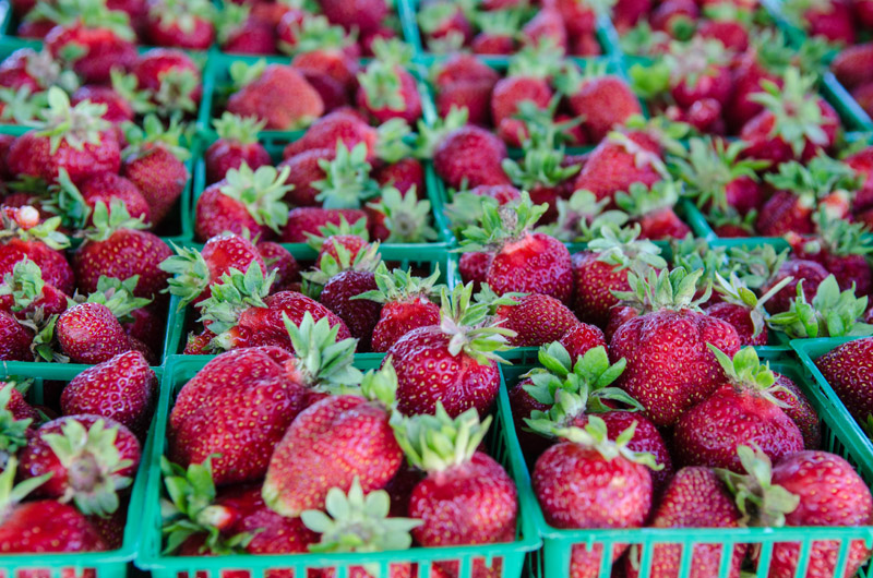 The Vineyard Gazette - Martha's Vineyard News | Sweet Strawberries ...