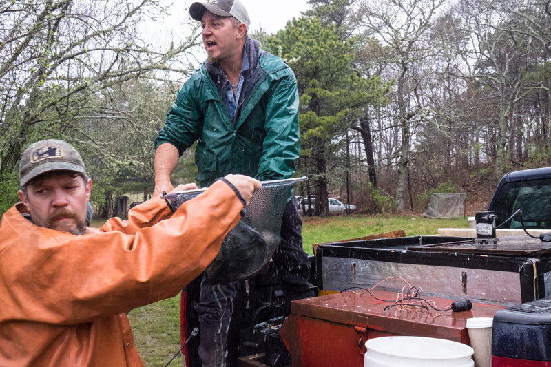 Keith Wilda providing trout for kids' trout tournament. 