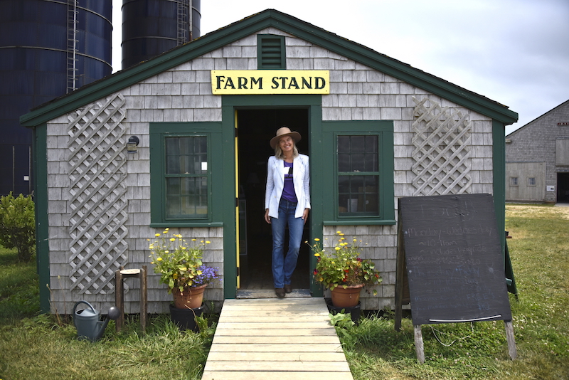 The Vineyard Gazette Martha S Vineyard News Fit To Farm