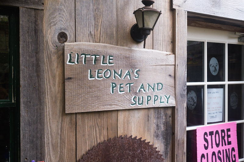 The Vineyard Gazette Martha s Vineyard News Little Leona s