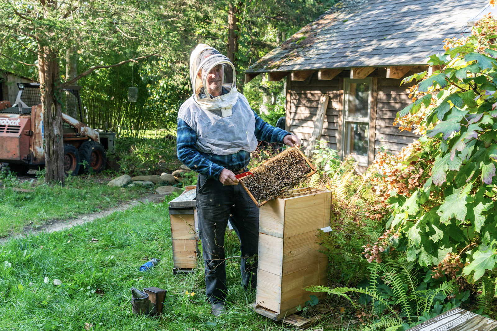 The Vineyard Gazette - Martha's Vineyard News | For Island Beekeepers ...