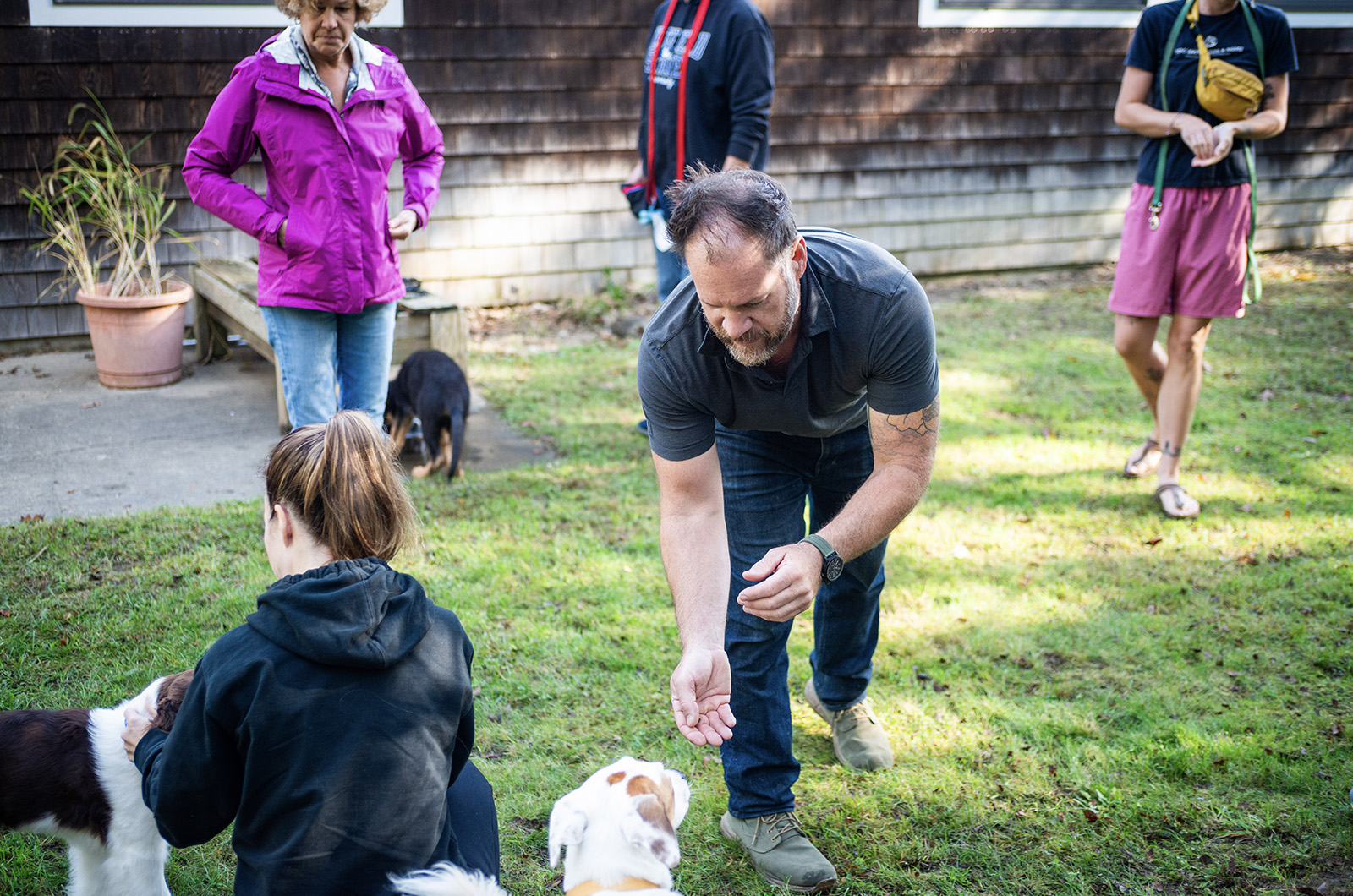 The Vineyard Gazette - Martha's Vineyard News | Animal Shelter Dog