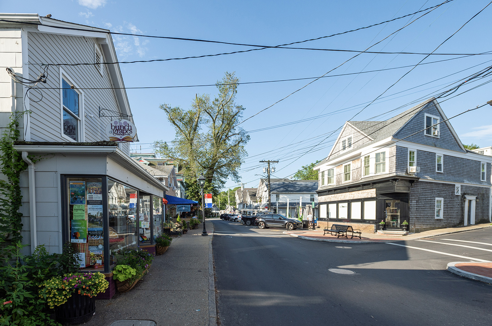 Re Who Owns Main Street Bunch Of Grapes 