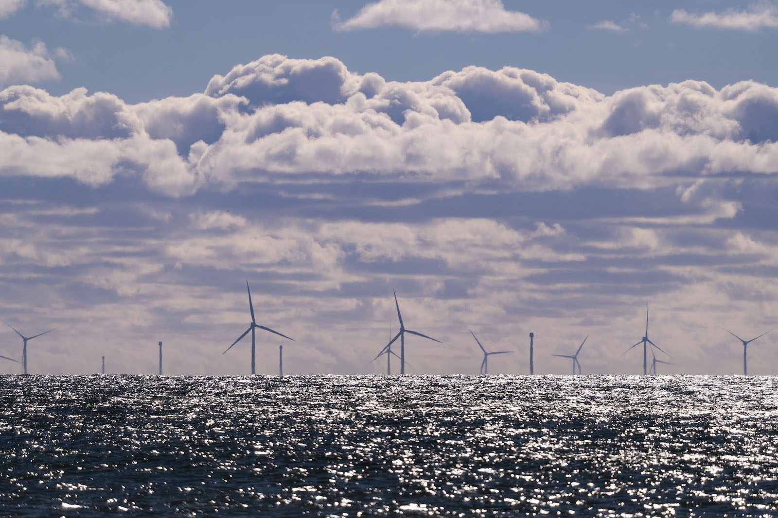 Judge Finds Trump Wind Energy Ban Is Illegal