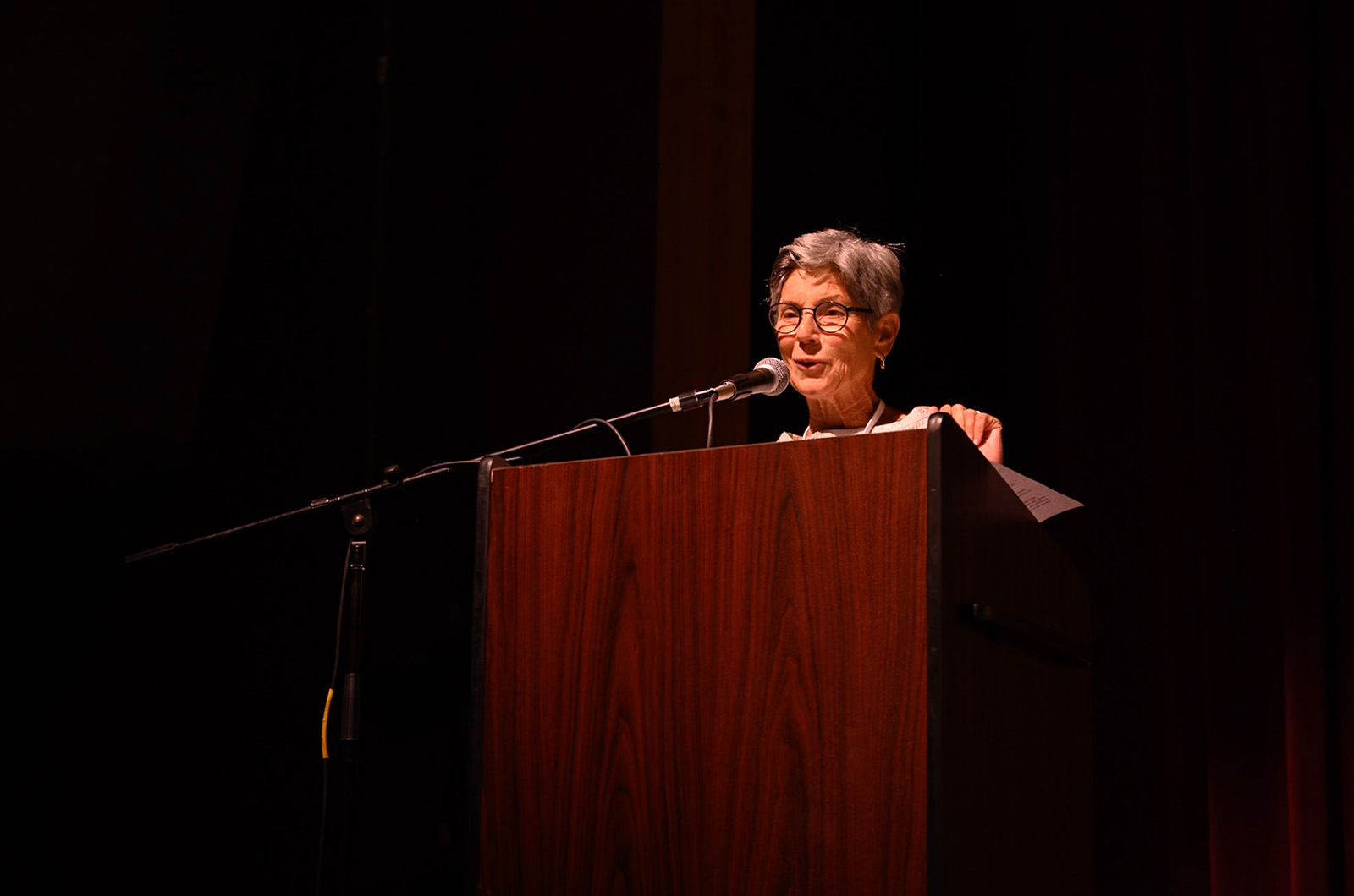 Suellen Lazarus puts together the Author Series.
