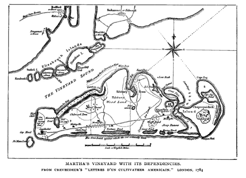 A map of the Vineyard in 1784.