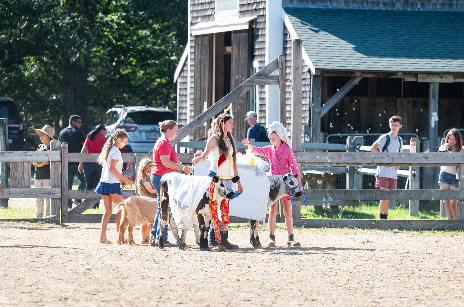 4-H handlers embrace the costume contest.