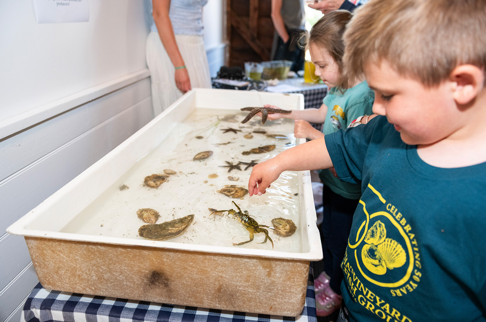 The touch tank was a hit at the Clamiversary party.