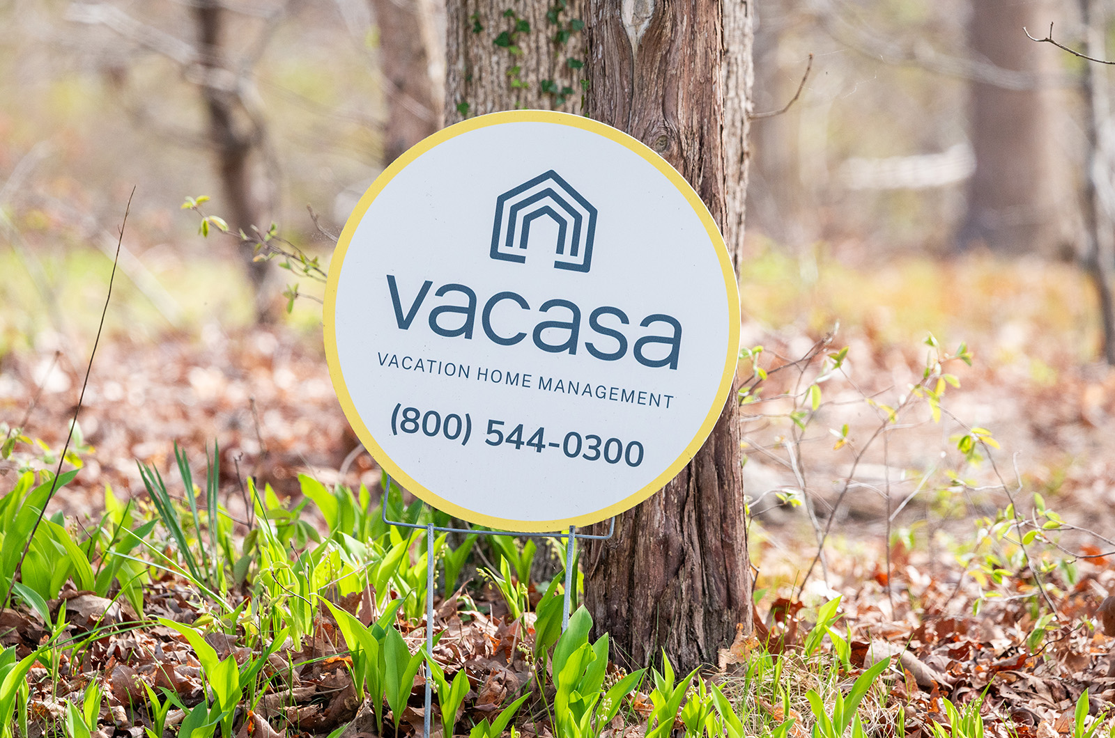 Rentals have had a long history on the Vineyard.