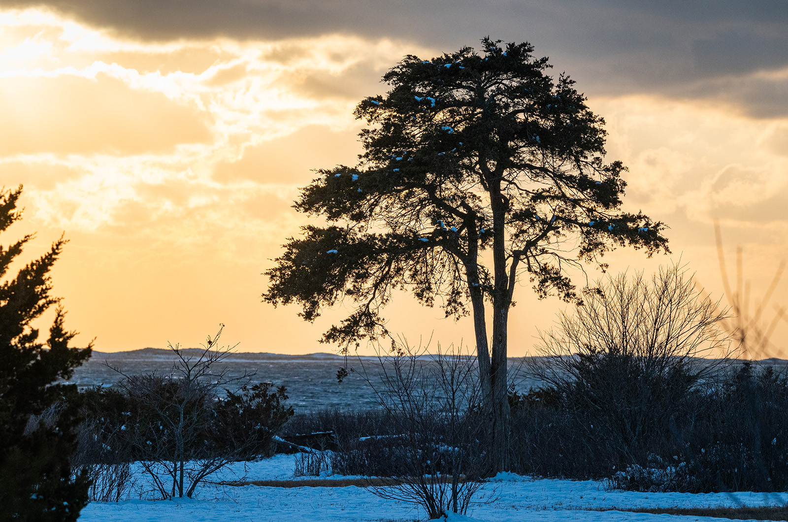 It Doesn't Have to Be This Way