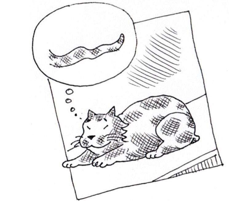 martha's vineyard laundromat comic