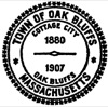 oak bluffs town warrant