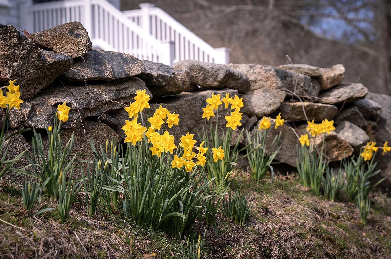 The Vineyard Gazette - Martha's Vineyard News | Scenes From Martha’s