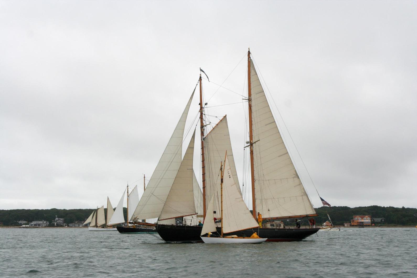 sailboats in the race