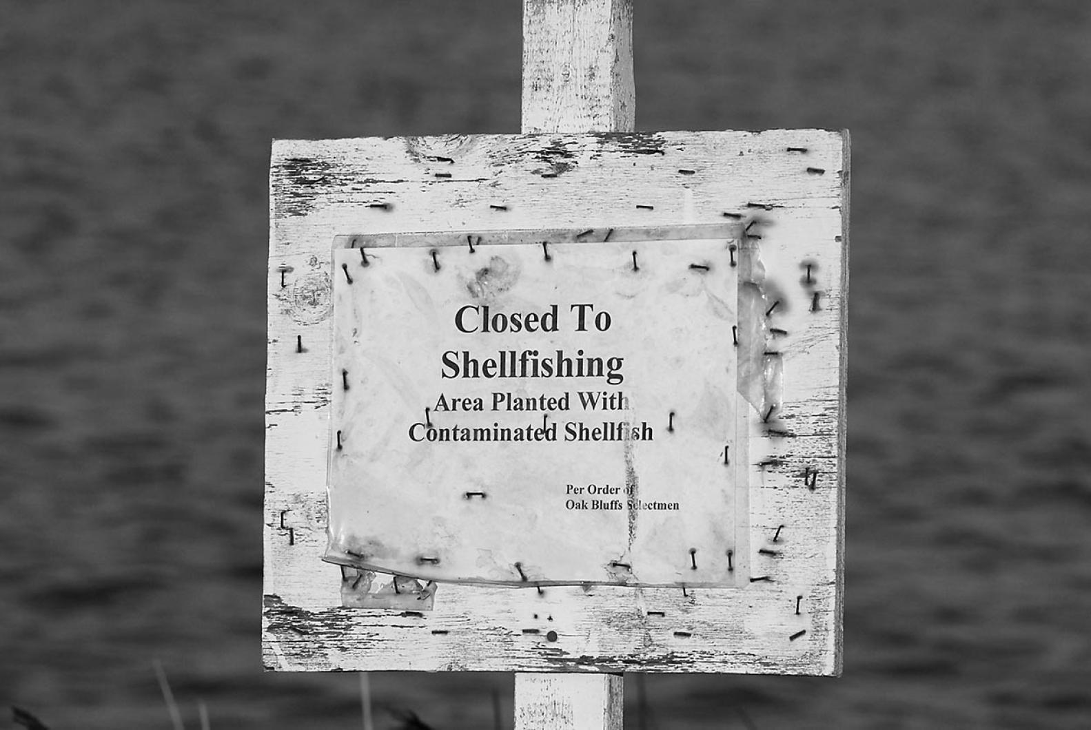 closed to shellfishing sign