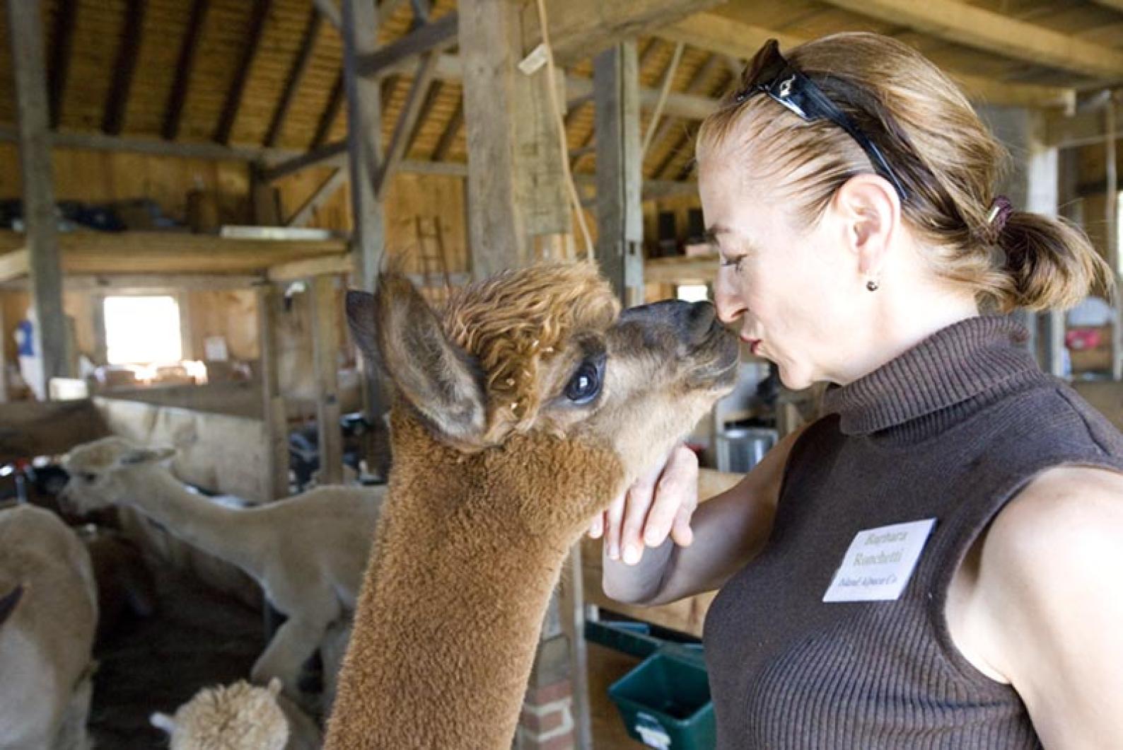 Barbara Ronchetti with alpaca