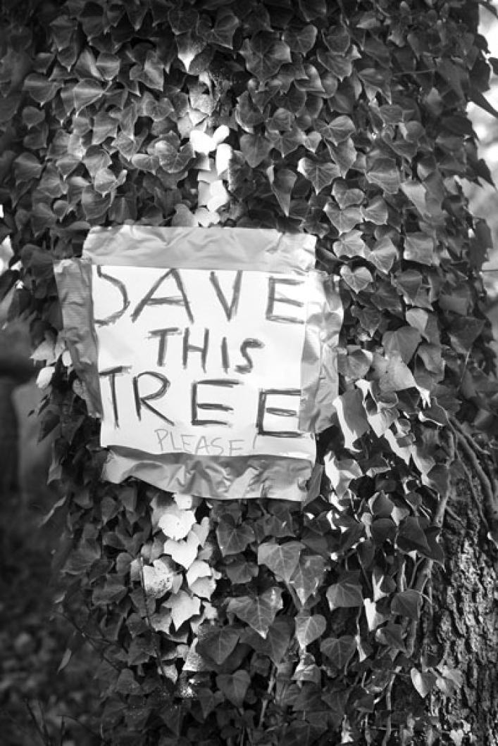 Save This Tree