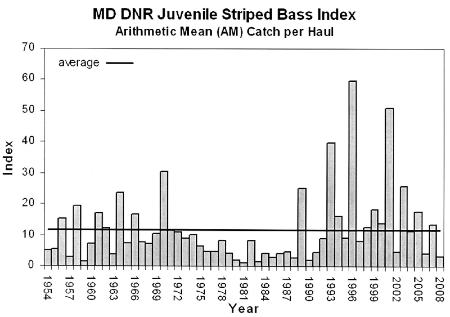 Striped Bass Index 2008