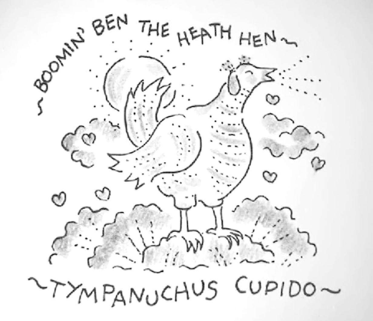 Ben the Heath Hen