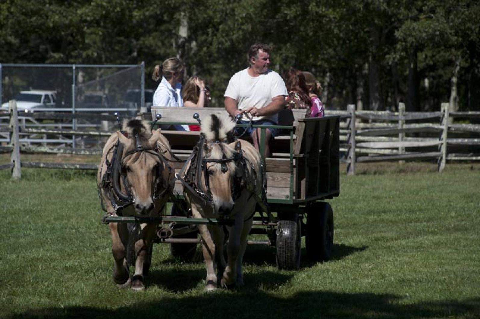 carriage