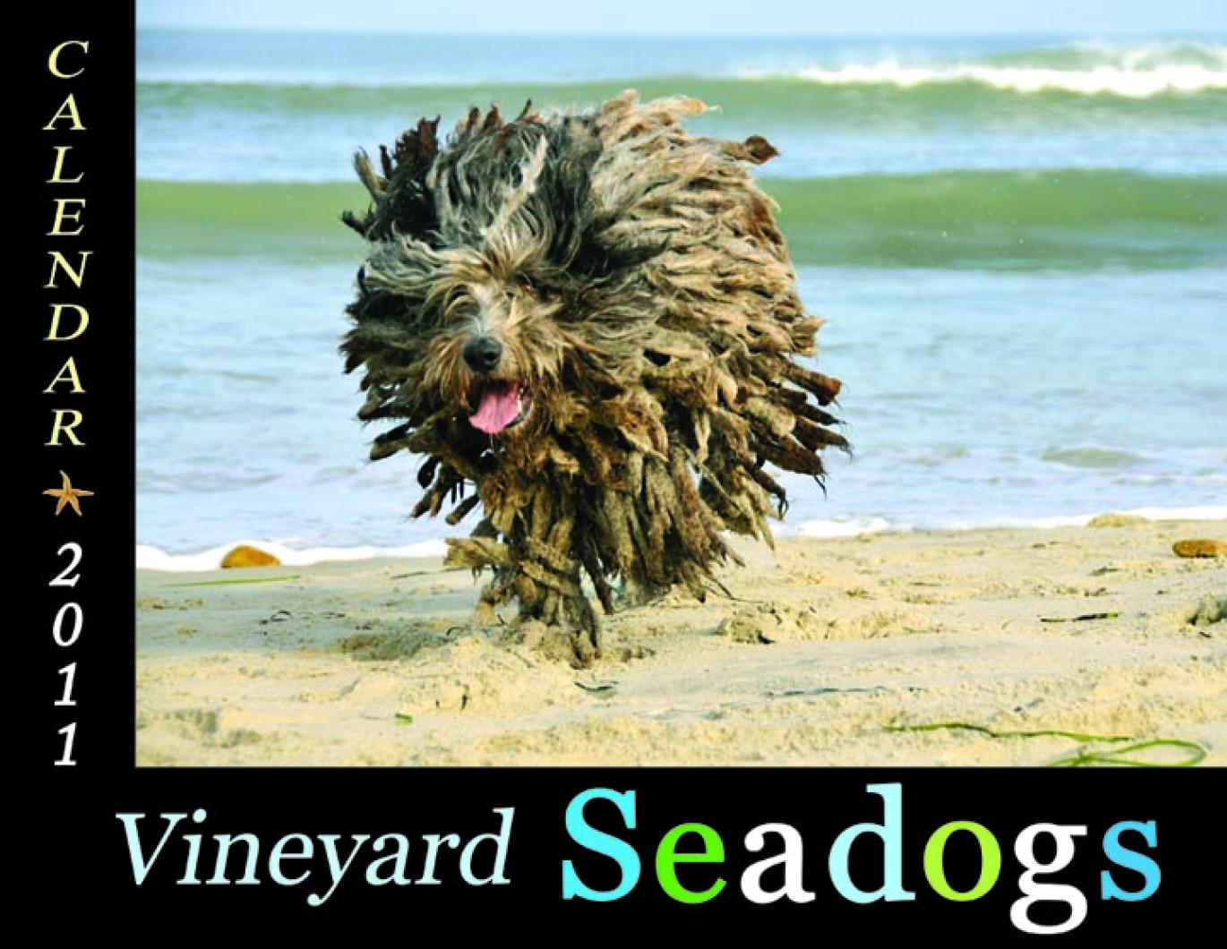 The Vineyard Gazette Martha's Vineyard News Snapper Captures Dog of