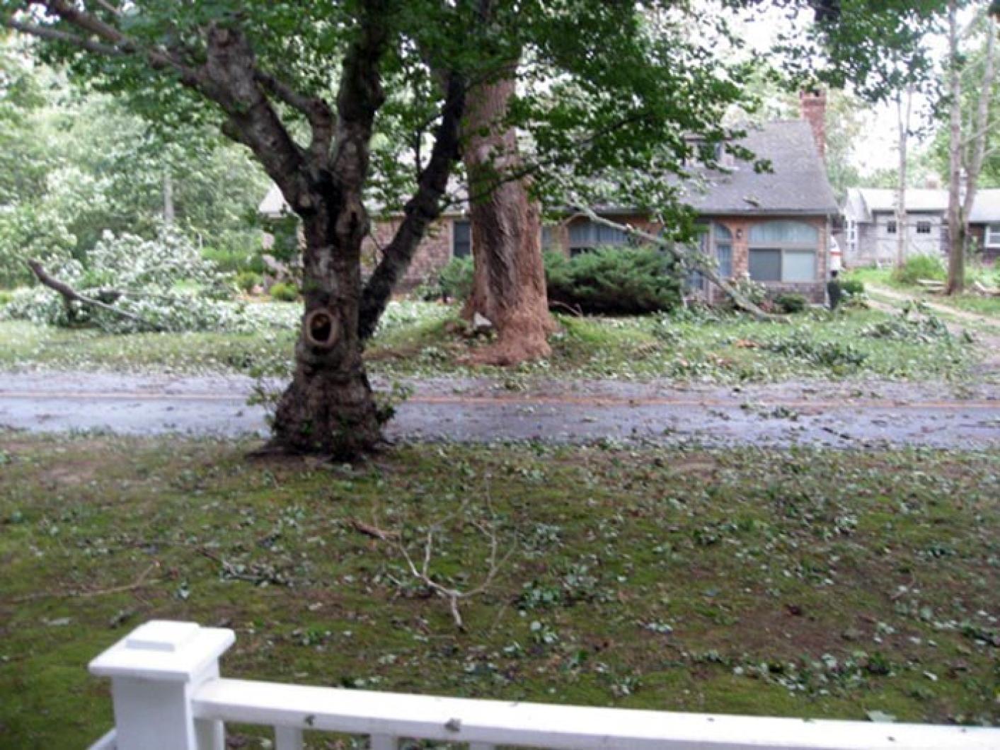 storm damage leaves yard