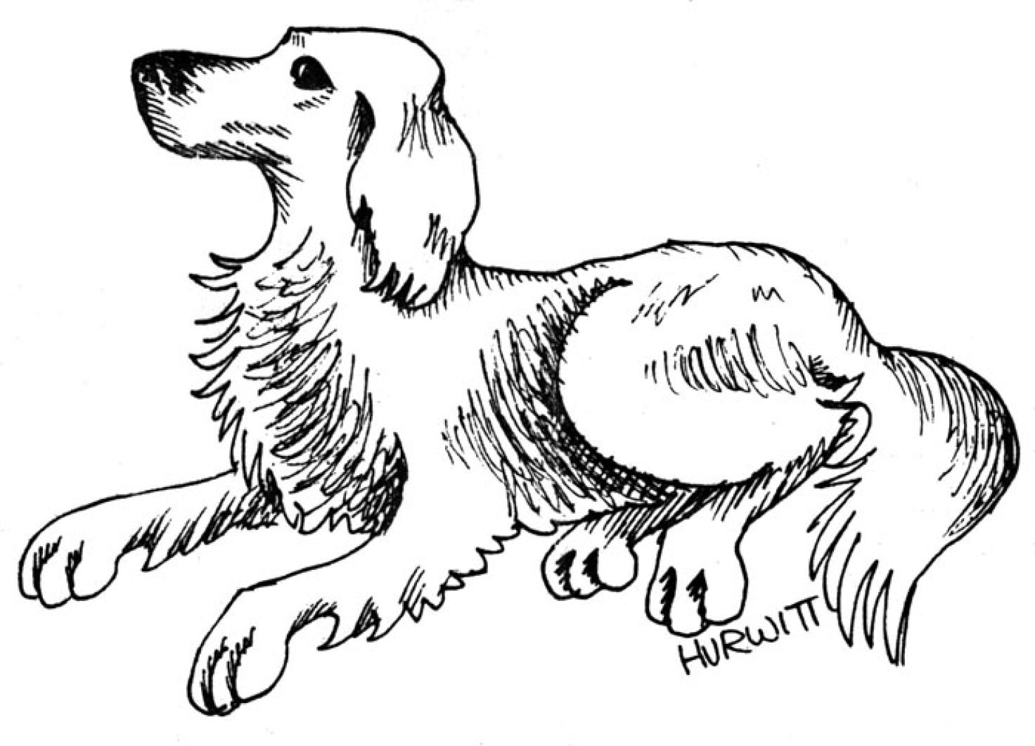 dog line drawing illustration cartoon BW