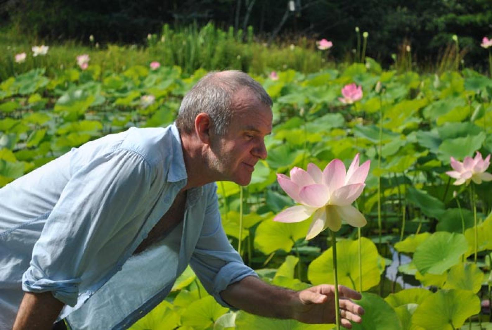 man lotus water garden