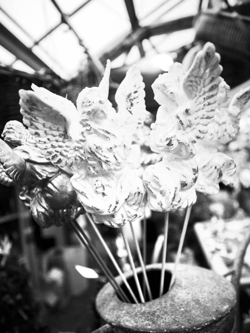 BW greenhouse angels