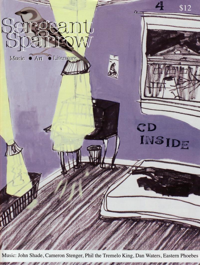 Sergeant Sparrow CD cover yellow curtains