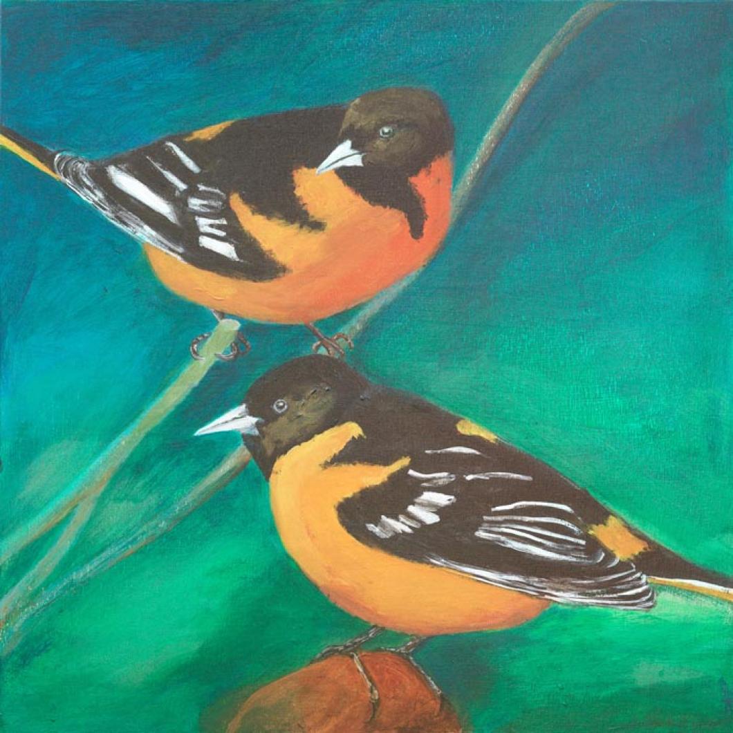 Baltimore orioles birds painting