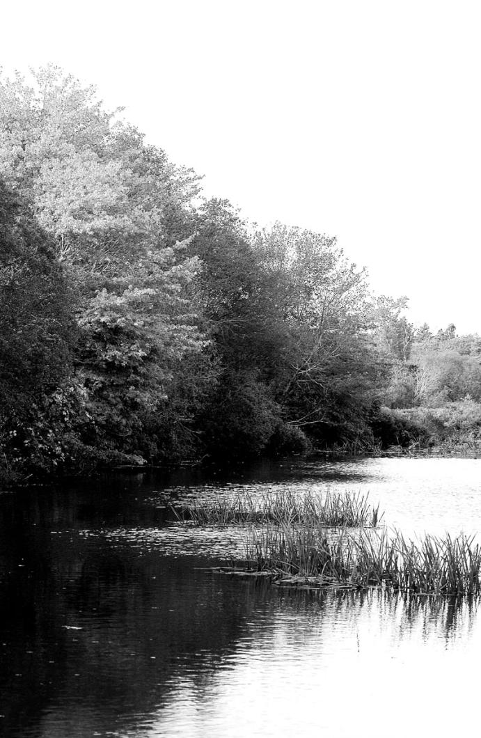 Mill Pond,