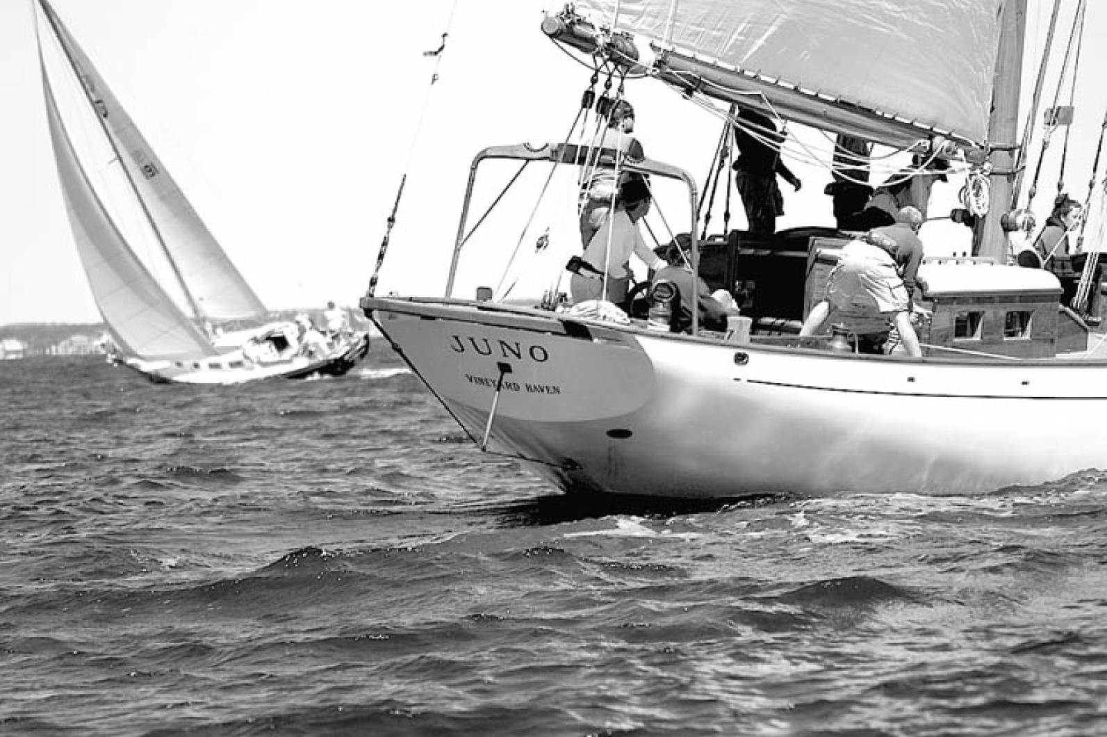 Juno sailboat crew BW