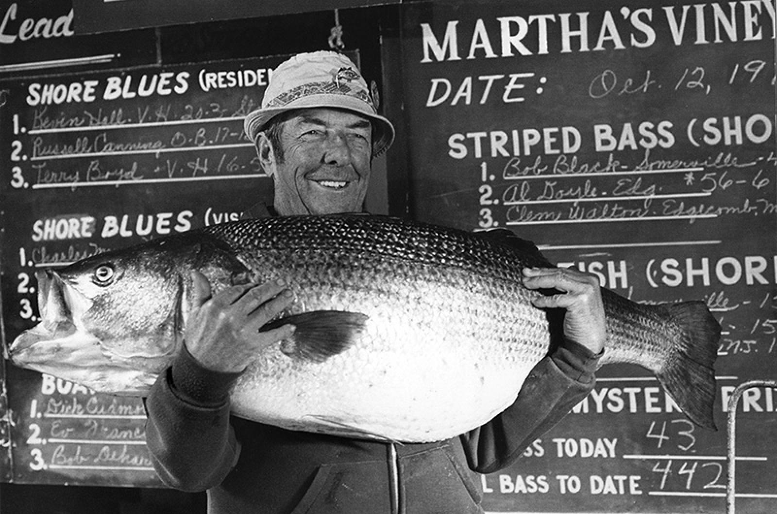 Stripers Forever calls for 10-year moratorium on striped bass - The  Martha's Vineyard Times