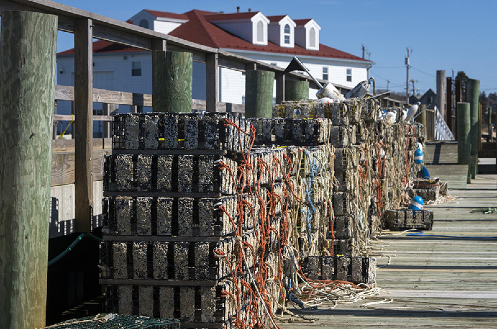 Menemsha docks, Chilmark, Martha's Vineyard