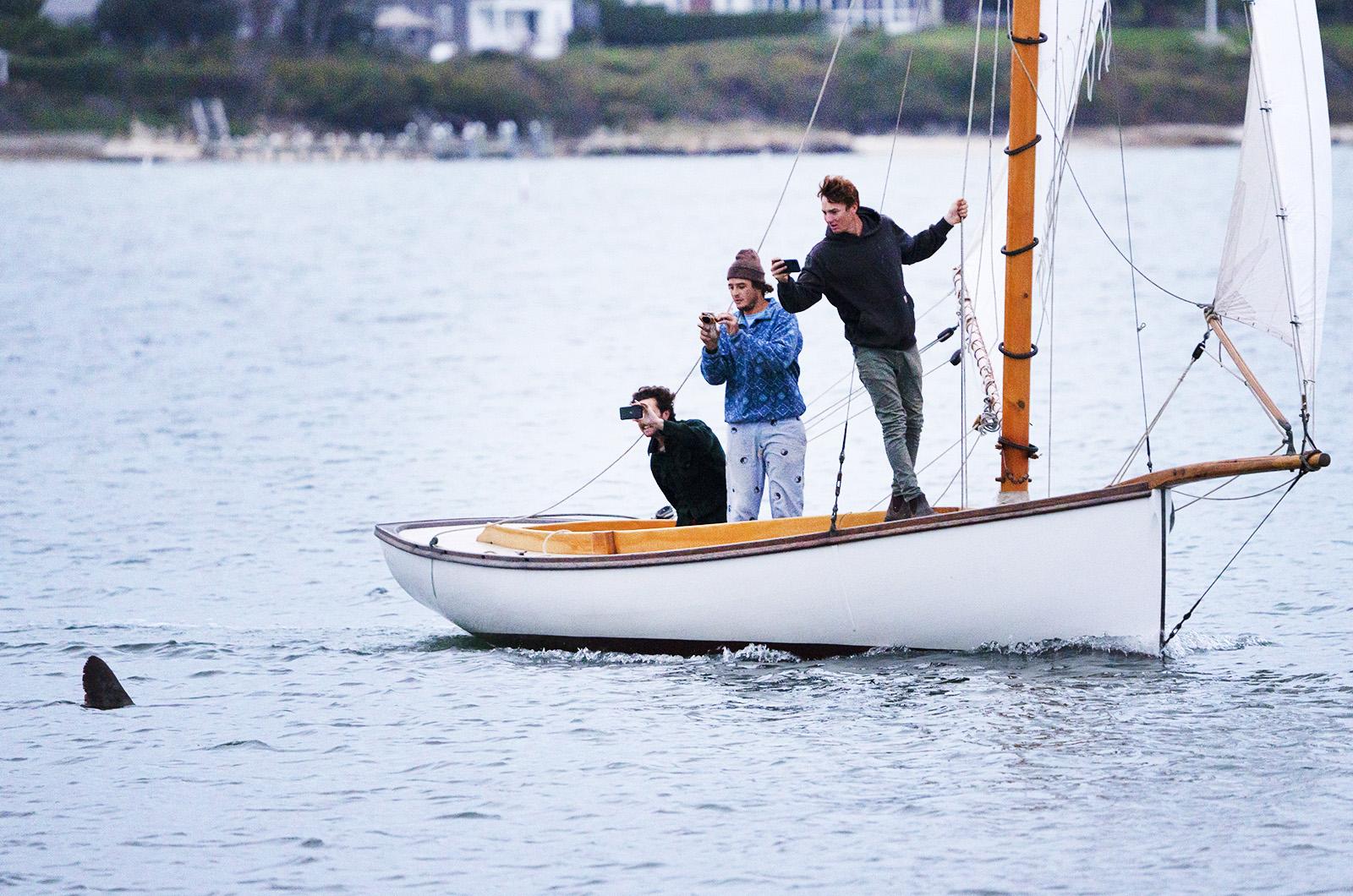 Go Shark - Navigating the Seas of Entrepreneurship