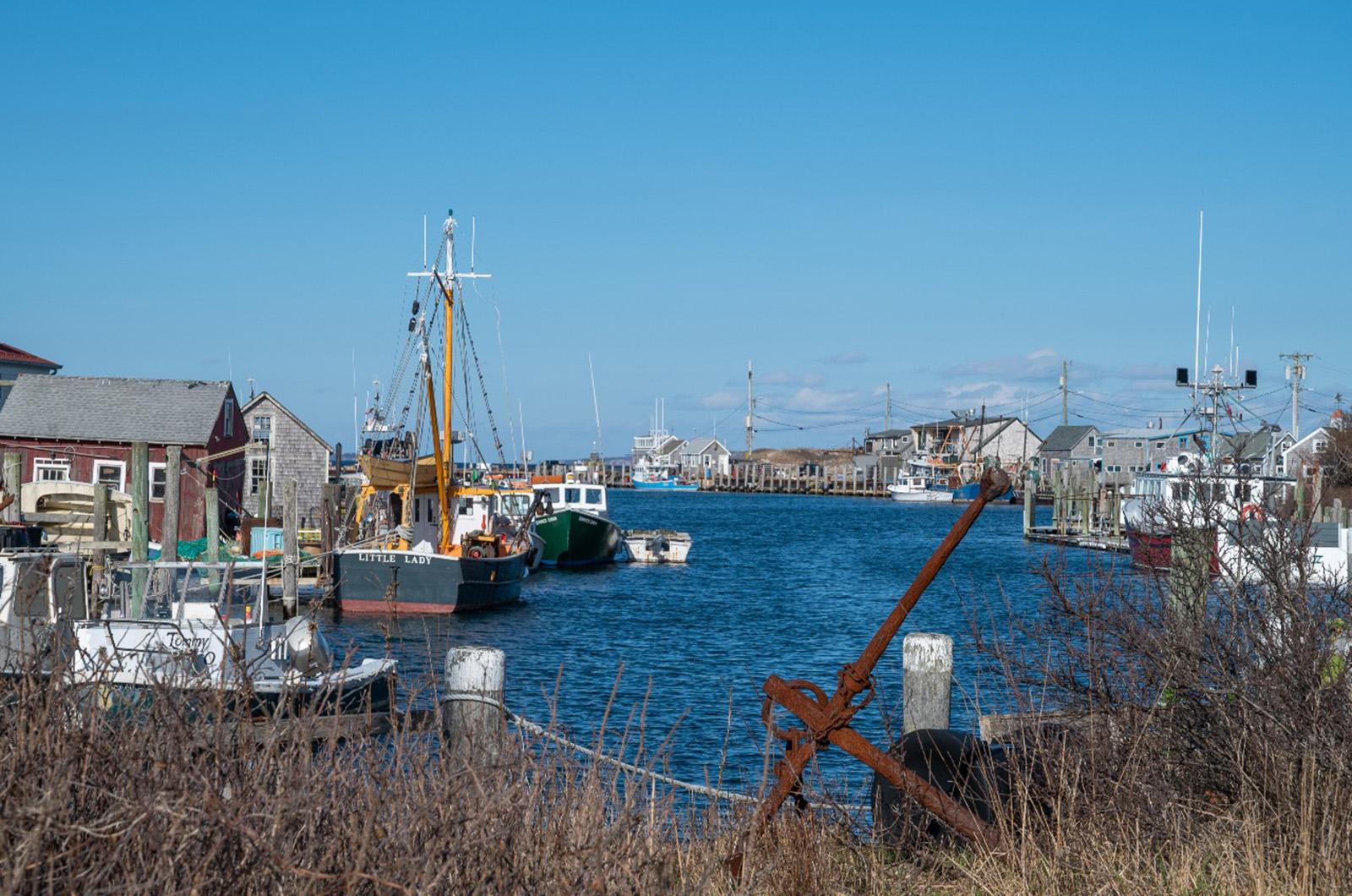 The Vineyard Gazette - Martha's Vineyard News | Strolling in a 