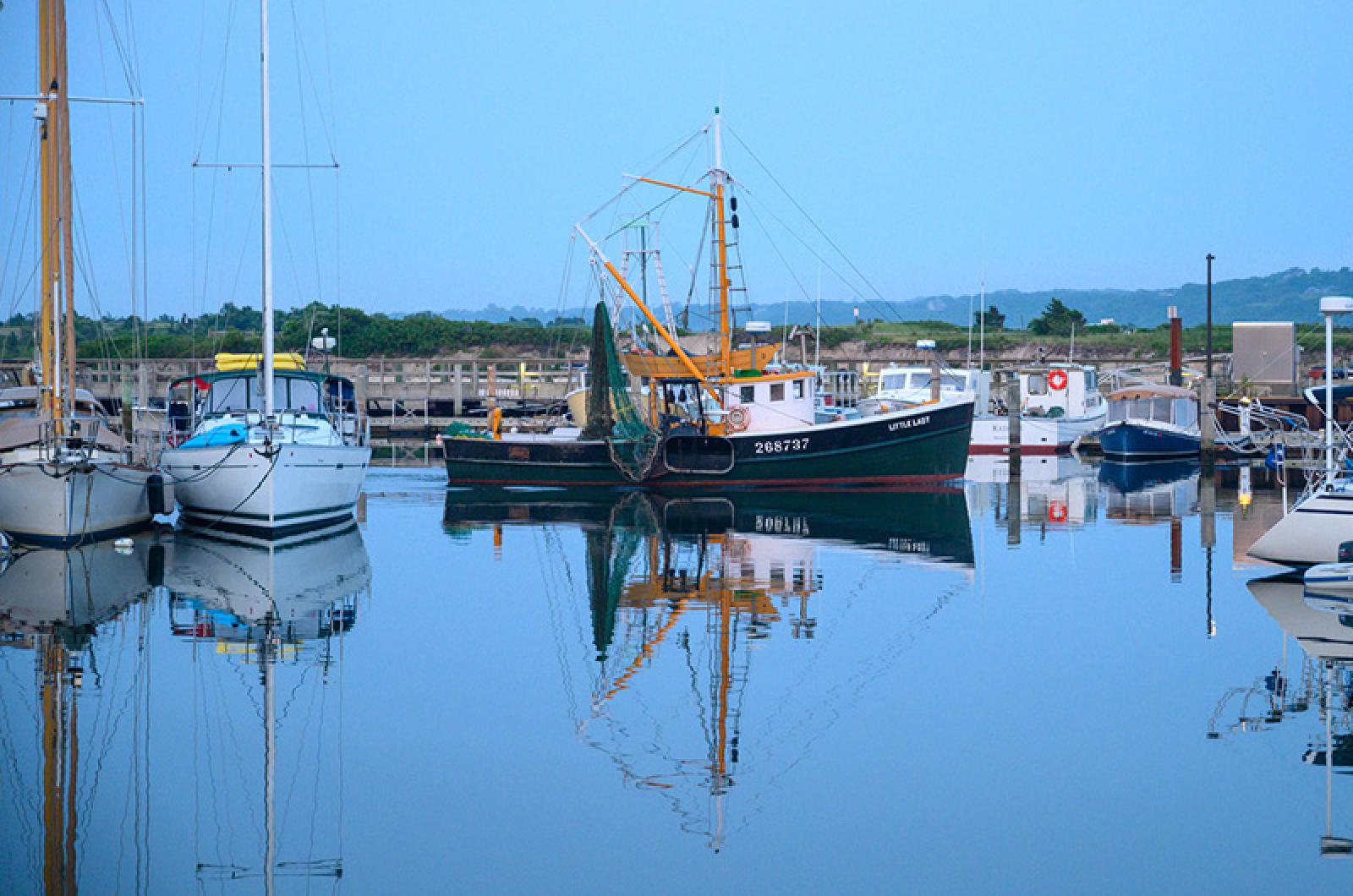 Photography The Vineyard Gazette Martha S Vineyard News