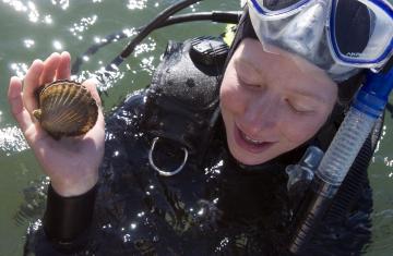 Jessie Kanozak diving for scallops