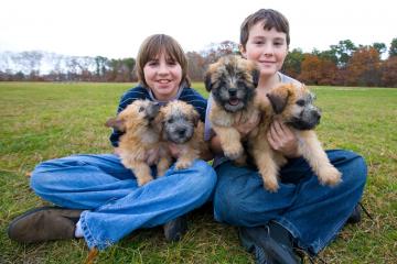 Paul Buckley and Russell Shapiro with puppies