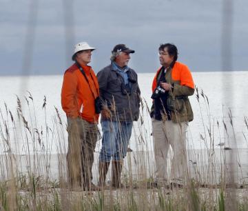 Avid birders