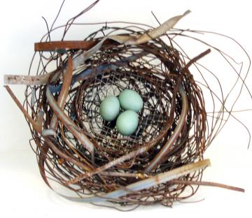 Nest