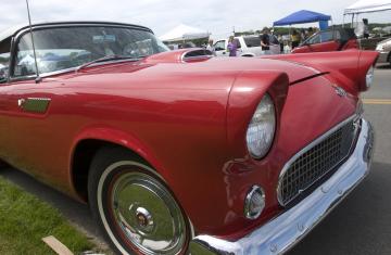 thunderbird