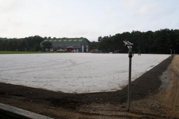 Crow Hollow