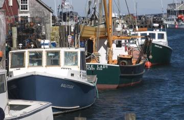 boats